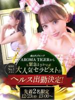 にこるんakaアロマタイガー(23)