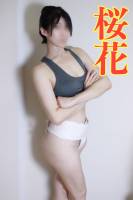桜花(さくら)(28)